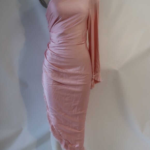 NWT Womens PatBO Light Pink Fringe Trim One Shoulder Asymmetric Oscar Dress 6 - Picture 4 of 16